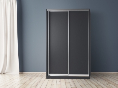 Шкаф купе 2 двери наполнение дверей ЛДСП